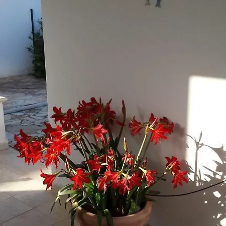 Casa de Férias Bigio *