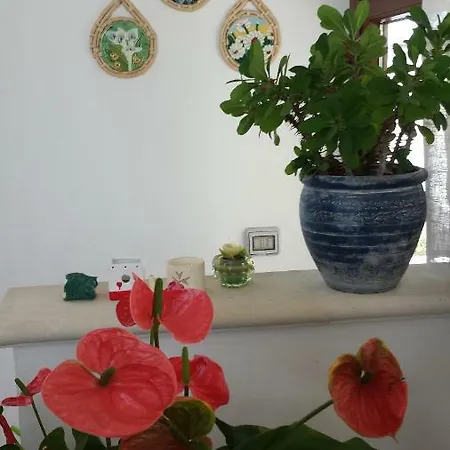 Bigio Casa de Férias Monopoli